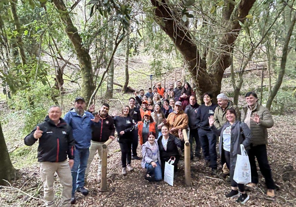 20241008_163504218_iOS