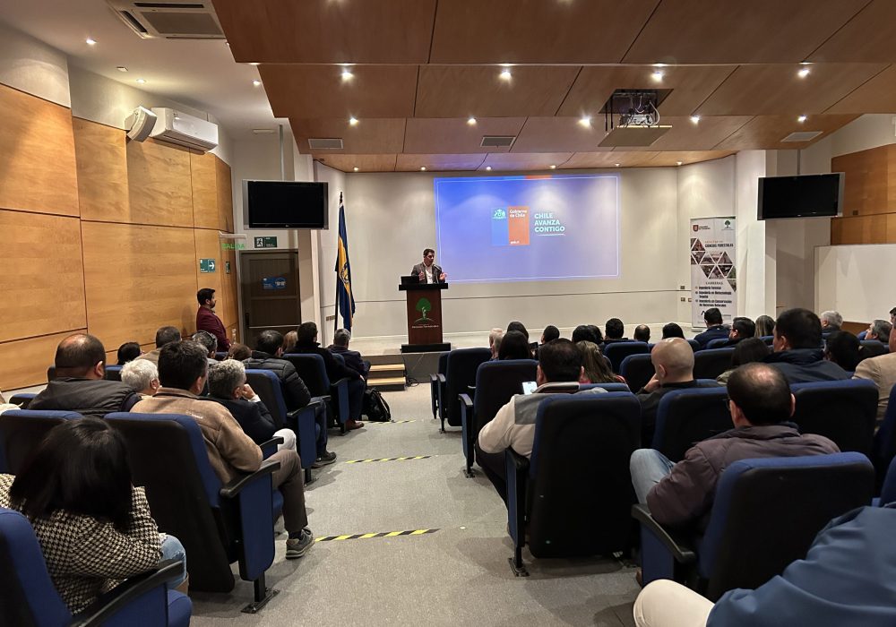 20241107_130906812_iOS