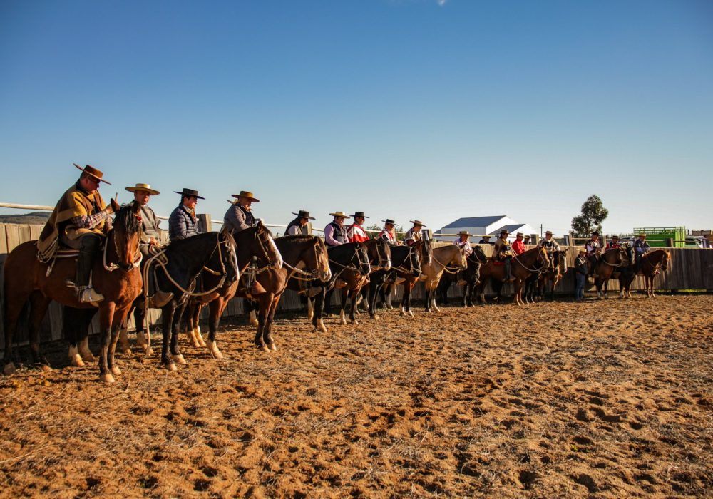 281999063_1383780595453911_3900686774262932324_n