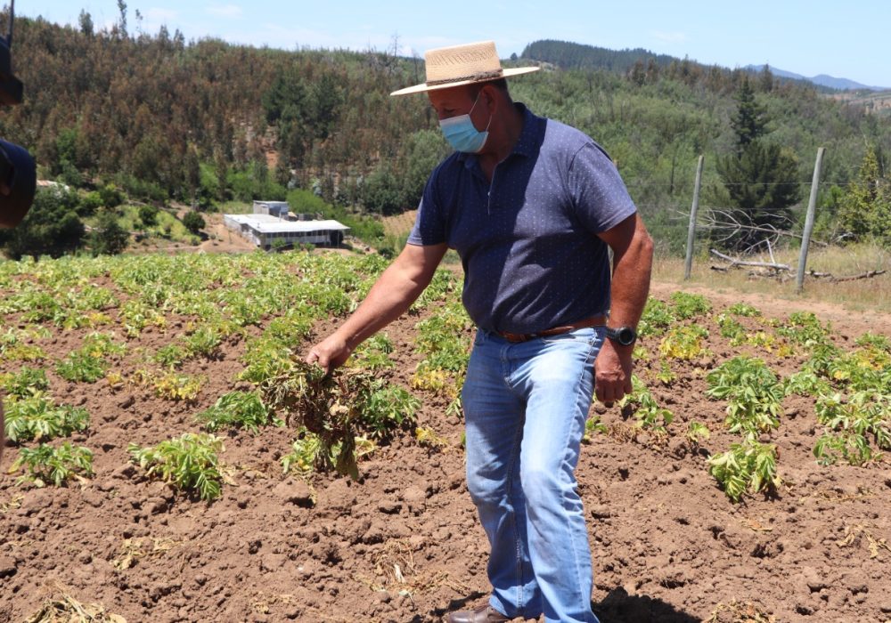 WhatsApp Image 2021-11-29 at 11.01.24