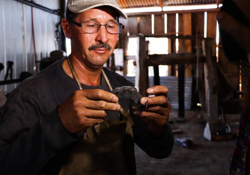 WhatsApp Image 2022-01-10 at 11.08.56