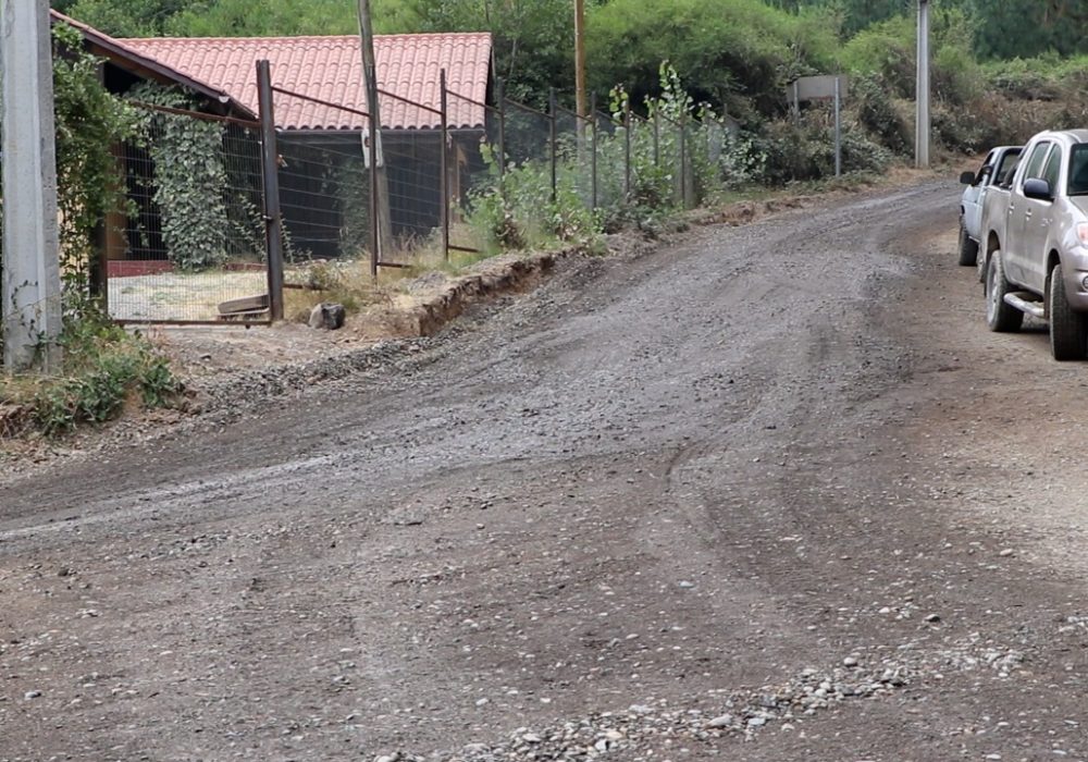 WhatsApp Image 2022-01-13 at 15.56.07 (1)