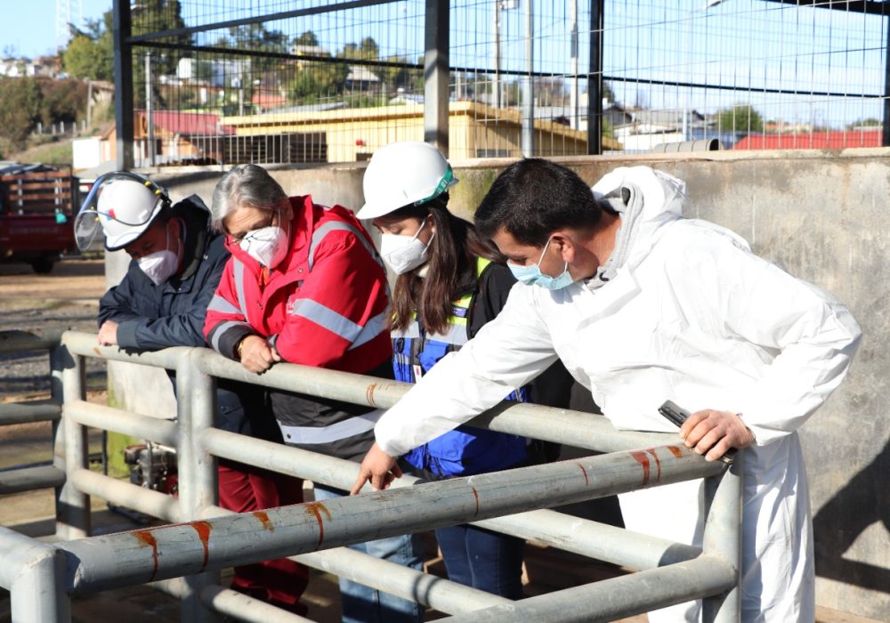 Fiscalización Copiulemu